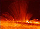The Sun's Magnetic Field