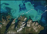 Spectacular Bloom in the Barents Sea