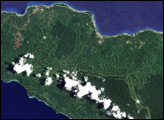 Forest Change on New Ireland, Papau New Guinea