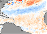 Atlantic Sea Surface Temperature Anomaly