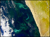 Sulfur Upwelling off the African Coast