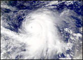 Typhoon Kirogi Spotted by SeaWiFS