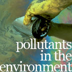 Pollutants in the Environment