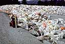 Piles of garbage in plastic bags