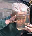 Boy looking at plankton in glass container