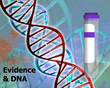 Evidence &amp; DNA Intro Image (Double Helix and Test Tube)