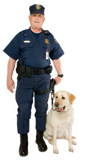 Image of an officer with his dog