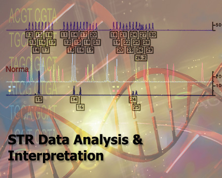 STR Data Analysis and Interpretation Intro Image