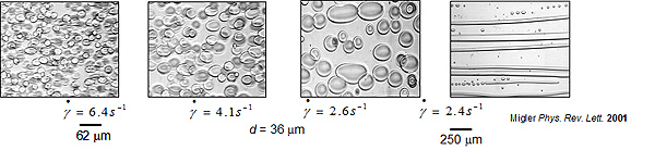 emulsion droplets coalesce with each other to form strings (threads) due to the interplay between coalescence and breakup