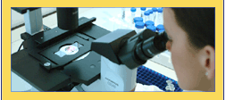 picture of microscope