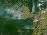 Deforestation and fires in Para, Brazil