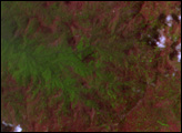 Landslides in Cameroon