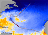 Sea Surface Temperature and Hurricane Bertha