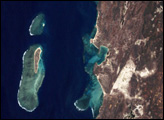 Coral Reefs of Southwest Madagascar