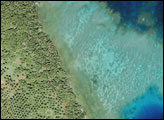 Coral Reefs around Matangi Island, Fiji