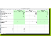 Screenshot of an MS Excel file