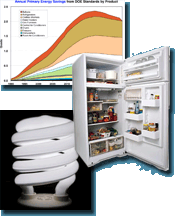 Counterclockwise: Chart illustrating annual energy savings; an open refrigerator full of food; and a compact fluorescent light bulb.