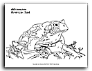 Toad  coloring page