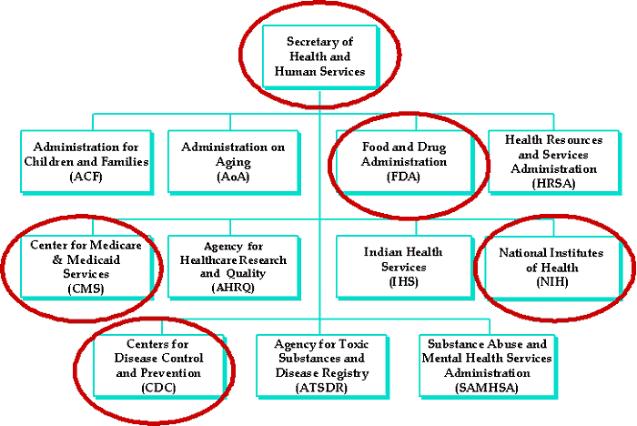 Flowchart of DHHS highlighting NIH, FDA, CMS, and CDC.