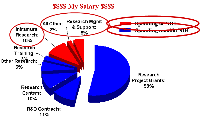 My Salary Pie Chart, spending at NIH highlighted.