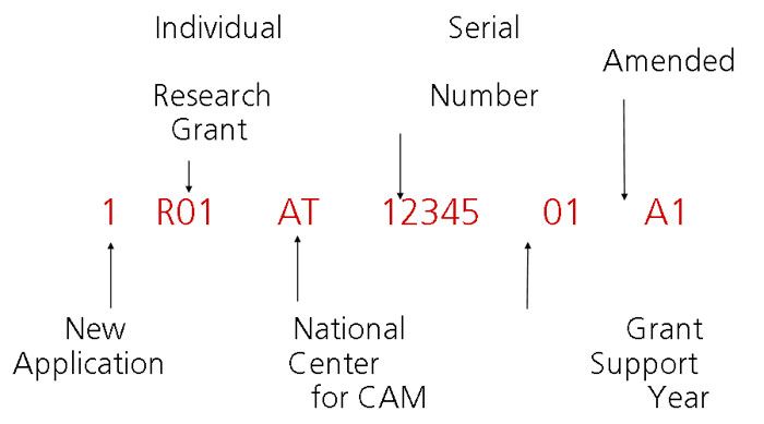 1	  R01	  AT	12345	01	A1: First character is New Application; Second set, three characters is Individual Research Grant; Third set, two characters is National Center for CAM; Fourth set, five characters is Serial Number; Fifth set, two characters is Grant Support Year; Sixth set, two characters is Amended