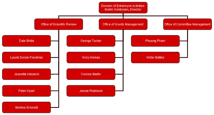 DEA flow chart of offices and positions.