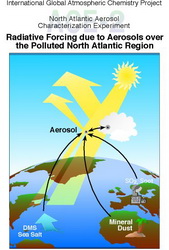 Radiative forcing due to aerosols over the polluted North Atlantic region