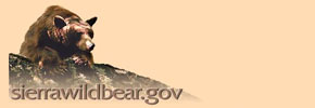 Sierrawildbear Logo