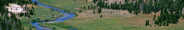 Lyell Canyon in the Yosemite Wilderness