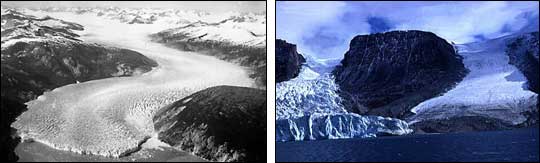 Taku Glacier and Tidewater Glacier