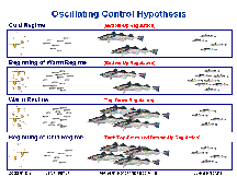 Cartoon of the Oscillating Control Hypothesis for the Bering Sea ecosystem