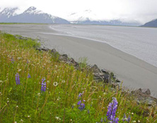 Photo of a coastline beach.