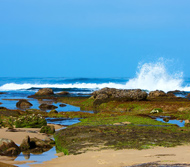 Photo of a beach area.