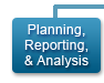 Planning, Reporting, and Analysis