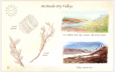 Fossils found in the McMurdo Dry Valleys