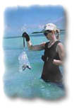 photo of USGS researcher collecting a sample