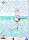 buoysmall.gif (6410 bytes)