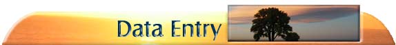 Data Entry Banner