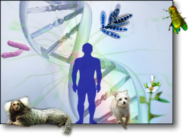 Collage of organisms: human, primate, mammal, fungus, and bacteria.