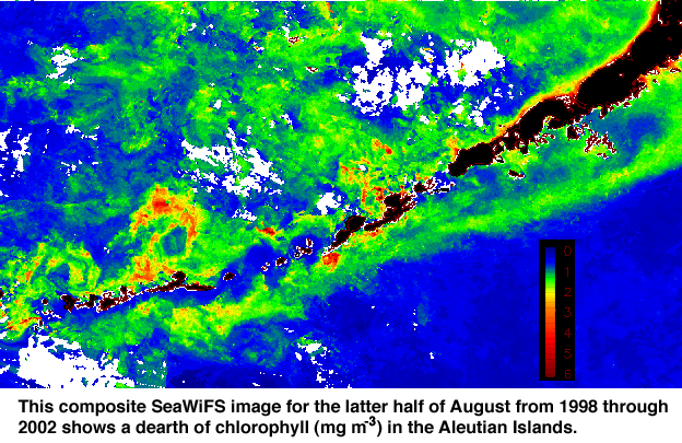 Aleutian Seawif's August 1998-2002
