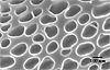 Picture 2: Nanoporous Surface Structure on PS Fiber Electrospun from THF