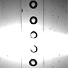 Flow focusing and oil/water droplet formation in microfluidics