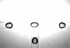 Oil/Water droplets in microfluidic symmetric T-junctions