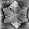 Topography of ipS crystals, Tx = 193°C (scale bars: 10 ?m)