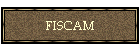 FISCAM