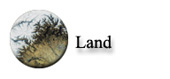Land Team Website Link