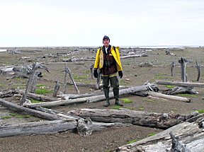 Steve looking for nesting eiders 
among Native artifacts at Demarcation Bay
USFWS photo