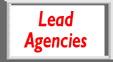 Lead Agencies button