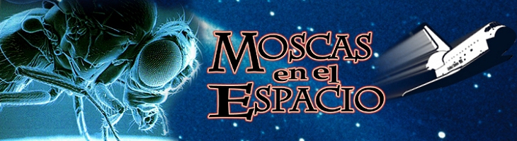 Moscas en el Espacio