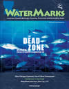 Cover: The Dead Zone